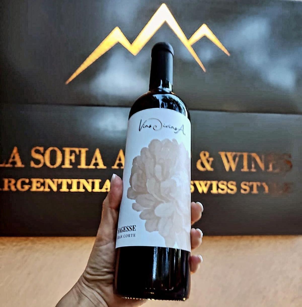 La Sofia Apart & Wines Mendoza Bagian luar foto